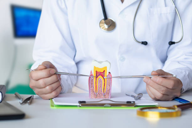 Best Emergency Dentist for Knocked-Out Tooth in USA